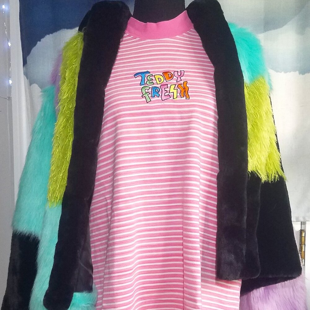 Teddy Fresh Collar Shirt Dress